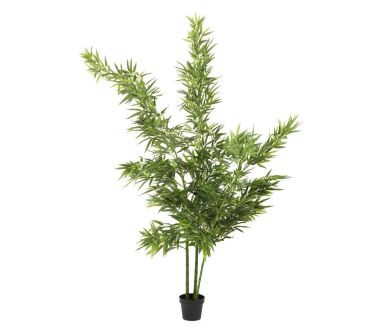 64002 Roślina dekoracyjna Bamboo Tree 200cm KARE Design
