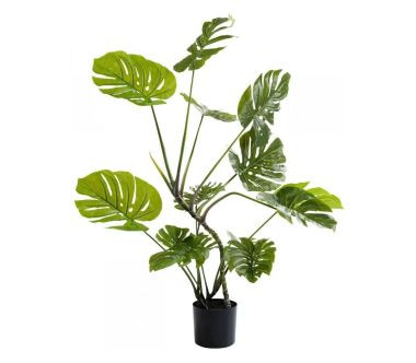 Roślina dekoracyjna Monstera KARE Design 110 cm