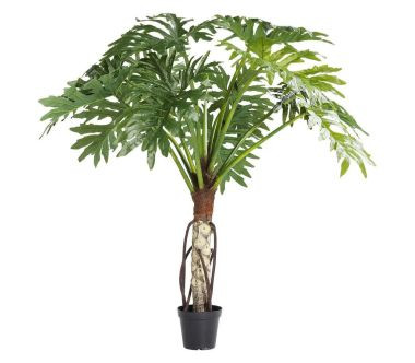 61202 Roślina dekoracyjna Big Monstera 80x175cm KARE Design 