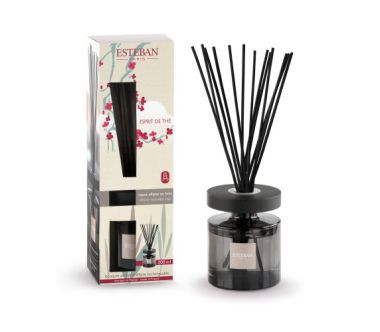 Dyfuzor zapachowy z patyczkami (200 ml) Esprit de thé Esteban