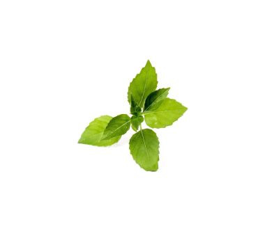 Wkład nasienny Lingot (bazylia cytrynowa) Veritable
